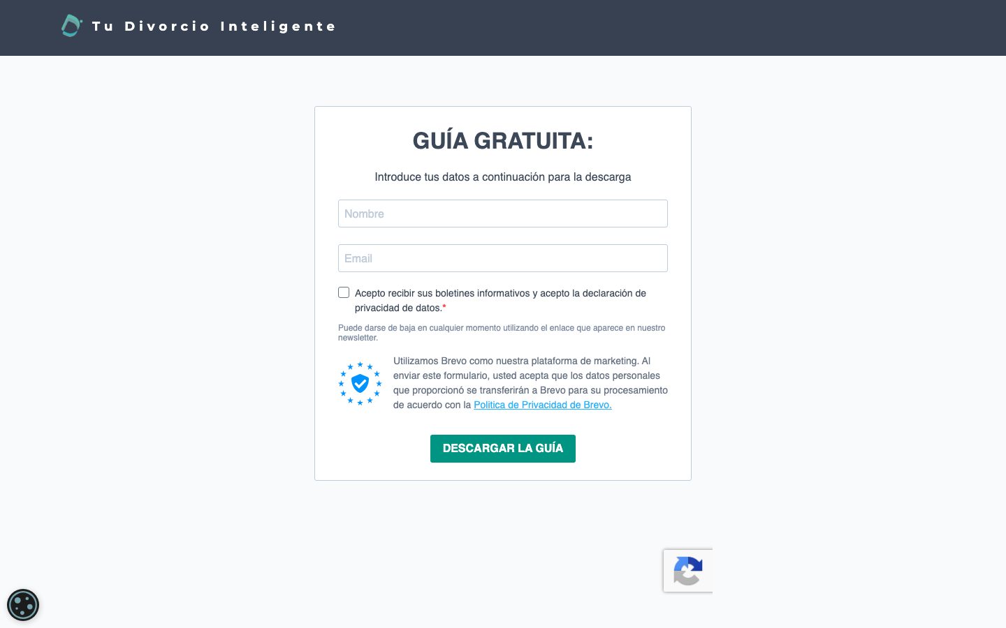 Brevo signup form for the free guide